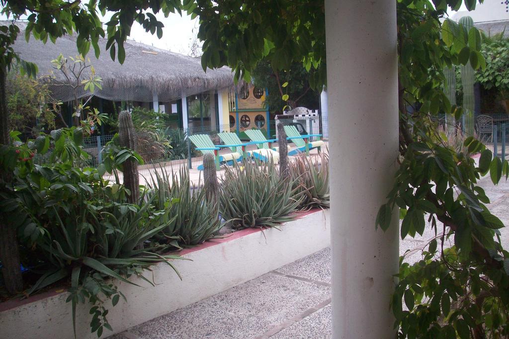 Casabuena B&B La Paz Dış mekan fotoğraf